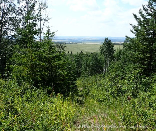 Looking west atop of the rise in the NA, Medicine Lodge Hills NA, 2024-08-14, P. Potter.