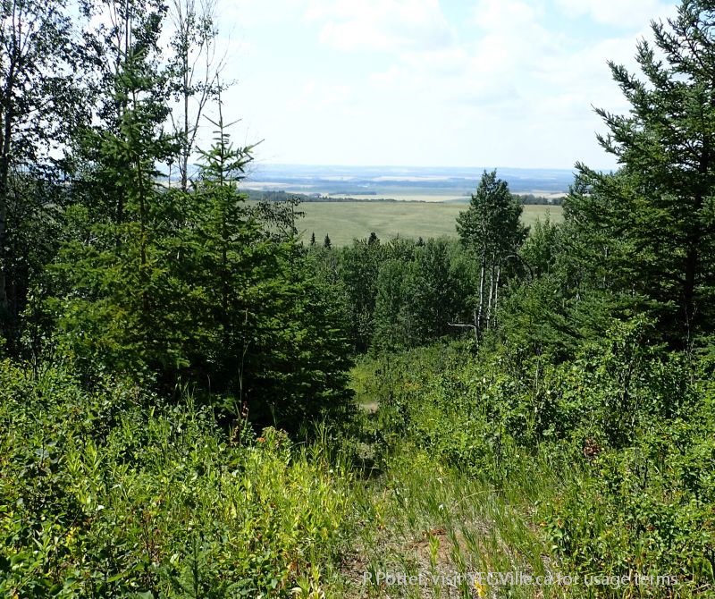 Looking west atop of the rise in the NA, Medicine Lodge Hills NA, 2024-08-14, P. Potter.
