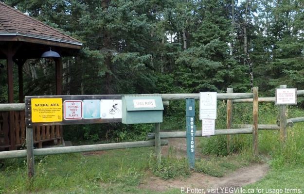 Start of the extensive trail network, JJ Collett, 2024-08-24, P. Potter