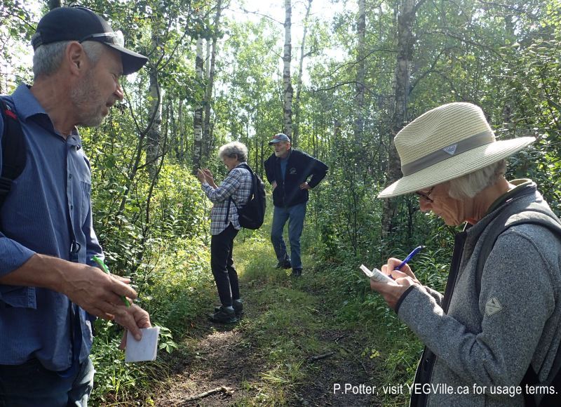 Making careful notes of plants in the NA, Magee Lake, 2024-08-24, P. Potter