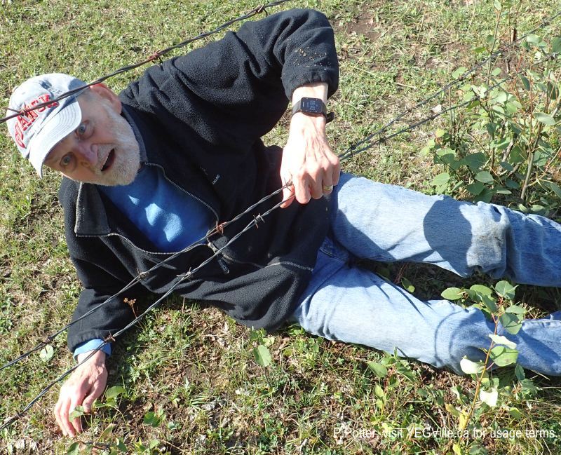 Hubert demonstrate his skills at barbed wire yoga, Magee Lake, 2024-08-24, P. Potter