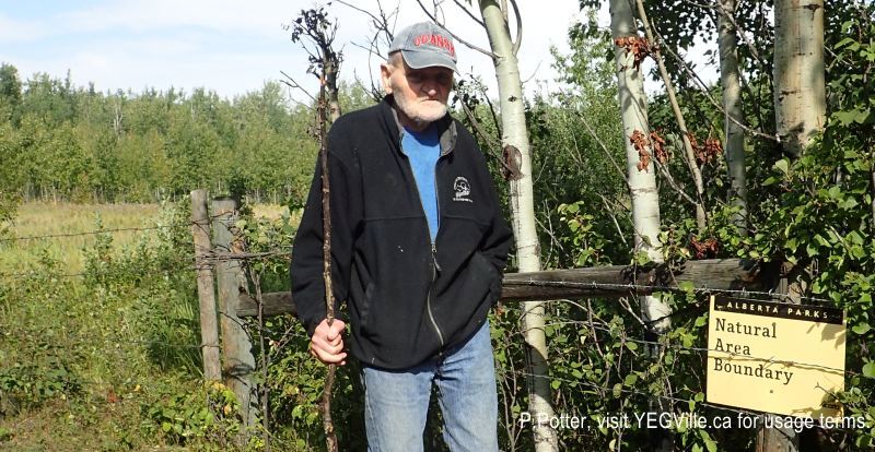 A wildly happy Hubert standing in the grazing lease to the south of the NA; the open area is visible to the left, Magee Lake, 2024-08-24, P. Potter