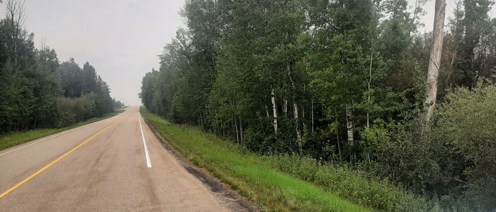 West boundary looking North, Sylvan Lake NA, 2024-08-16, Tony B.