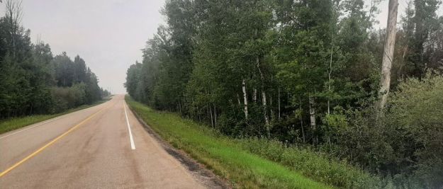 West boundary looking North, Sylvan Lake NA, 2024-08-16, Tony B.