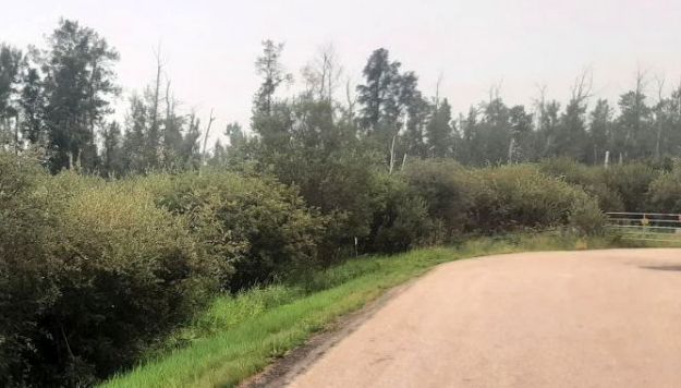West boundary looking South. Note the gate to private property on the right., Sylvan Lake NA, 2024-08-16, Tony B.