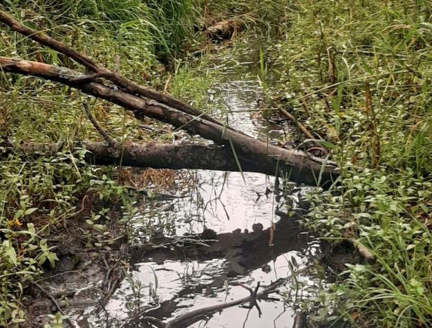 Flowing water, Sylvan Lake NA, 2024-08-16, Tony B.