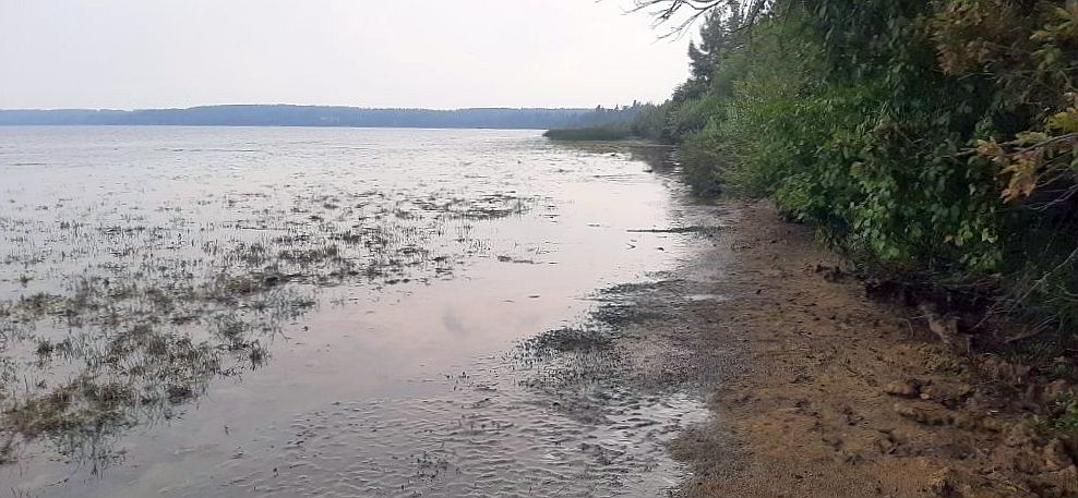 Shore of Sylvan Lake, looking South, Sylvan Lake NA, 2024-08-16, Tony B.