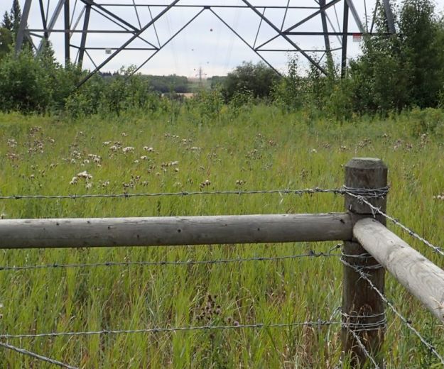 Looking south (across the North Saskatchewan River) and into the west border of the NA, Victoria Settlement NA, 2024-08-30, P. Potter.