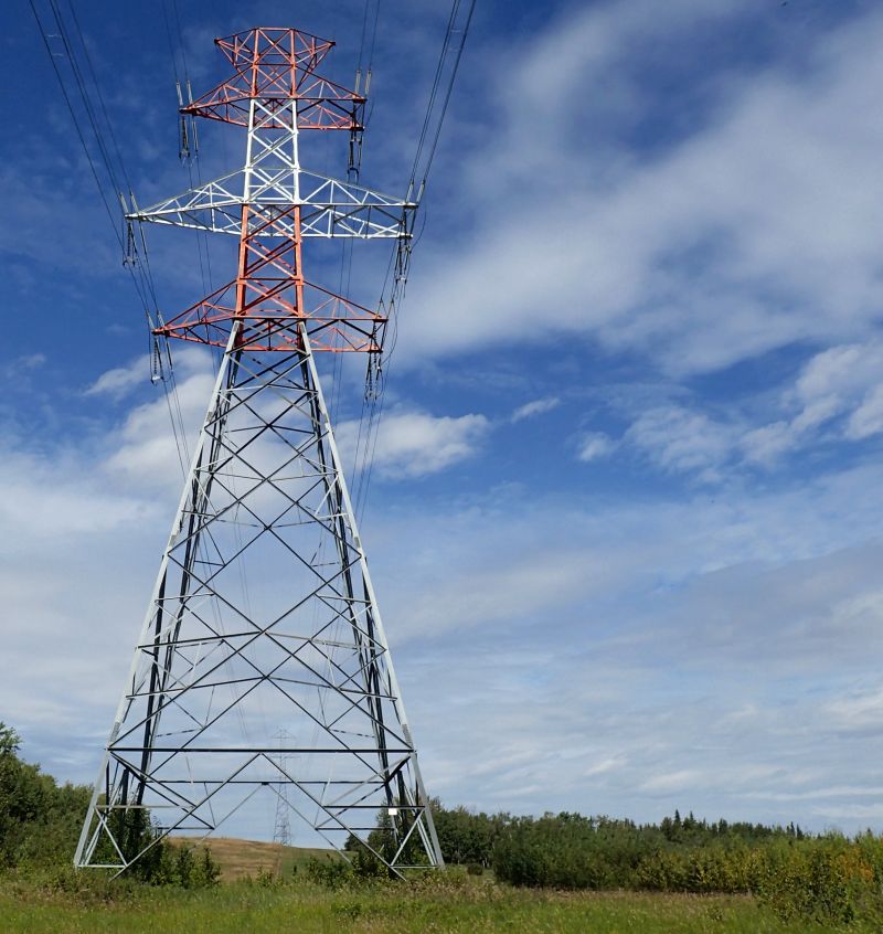 Looking north at the giant sentinels whose power lines pass through the NA, Victoria Settlement NA, 2024-08-30, P. Potter.