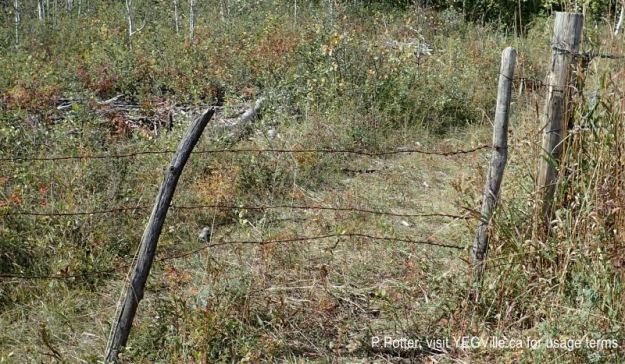 A weather worn gate at the SE corner of the NA, 2024-09-21, Threepoint Creek Na, P. Potter.