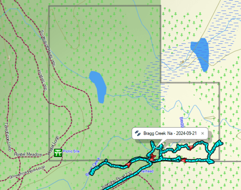 Route - mostly in the Southeast corner of the NA, 2024-09-23, Bragg Creek NA, P. Potter.