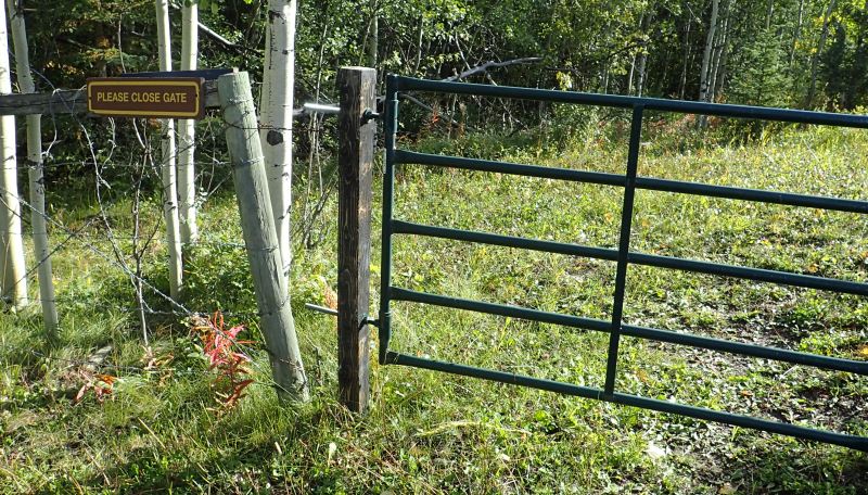 A robust gate, locked, that is in line with a Texas Gate on the TWP to the south; the gate access the salient area of the NA, 2024-09-23, Bragg Creek NA, P. Potter.