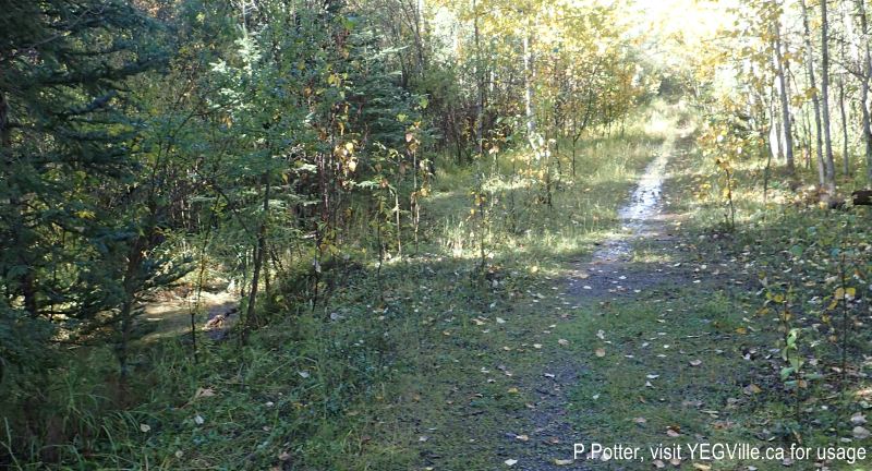 Possibly the former road allowance and definitely a former ATV track heading west from the small parking area of the NA, 2024-09-23, Bragg Creek NA, P. Potter.