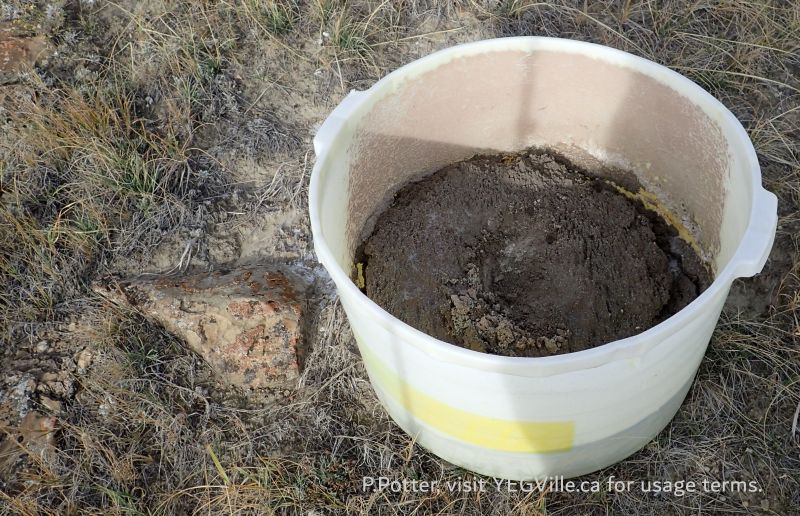 A curious and large bucket left on the table land, Milk River NA, 2024-10-15, P. Potter.