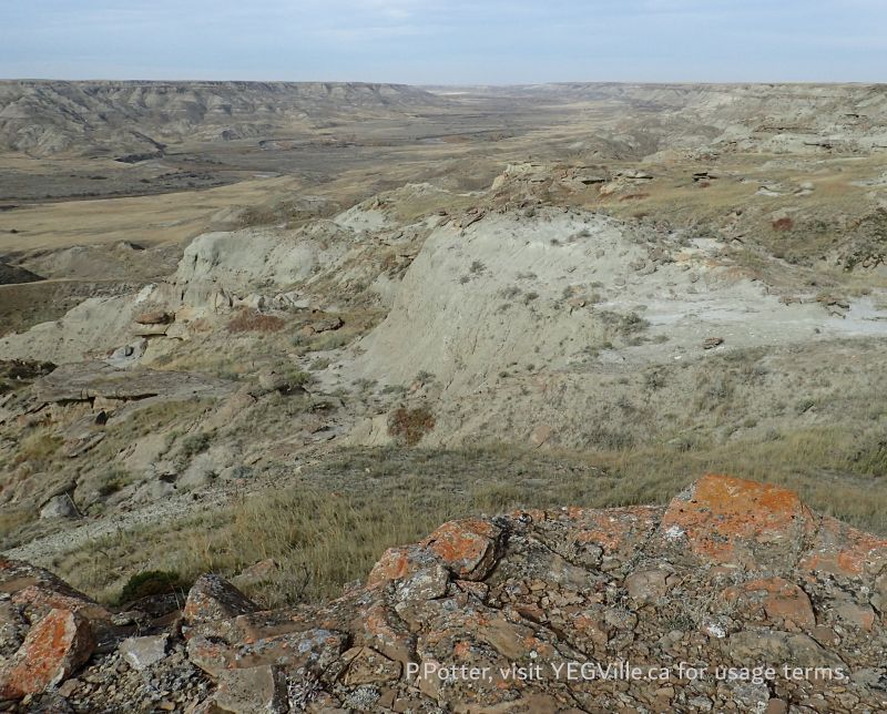 Looking West along the valley, Milk River NA, 2024-10-15, P. Potter.