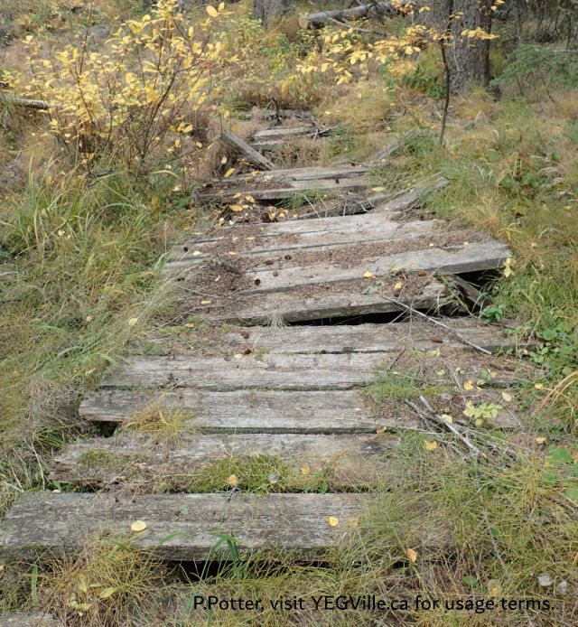 A disused bridge across a wet area; note the cut tree at the top suggesting some maintenance, Eagles Nest PNT, 2024-10-16, P. Potter.