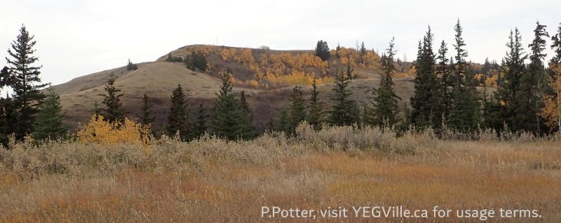 Looking West across a steep ravine and hill beyond, the boundary is roughly the top of the hill in the distance, Eagles Nest PNT, 2024-10-16, P. Potter.
