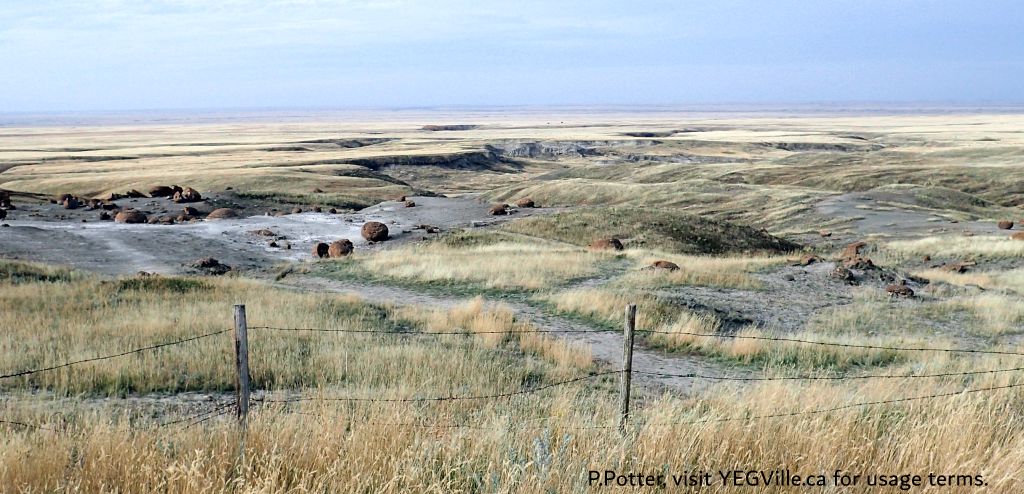 Looking roughly West at the corner junction, Red Rock Coulee NA, 2024-10-16, P. Potter.