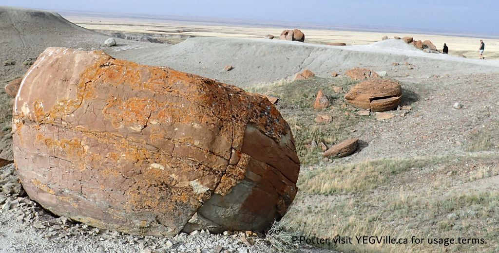 Visitors explore the site, looking West, Red Rock Coulee NA, 2024-10-16, P. Potter.