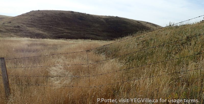 Looking South towards the valley and the adjoining property, Red Rock Coulee NA, 2024-10-16, P. Potter.