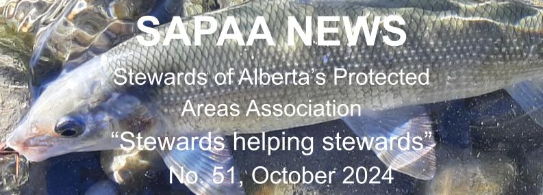 Rocky Mountain Whitefish, Snakes Head PNT 2024-10-03, Tony B.