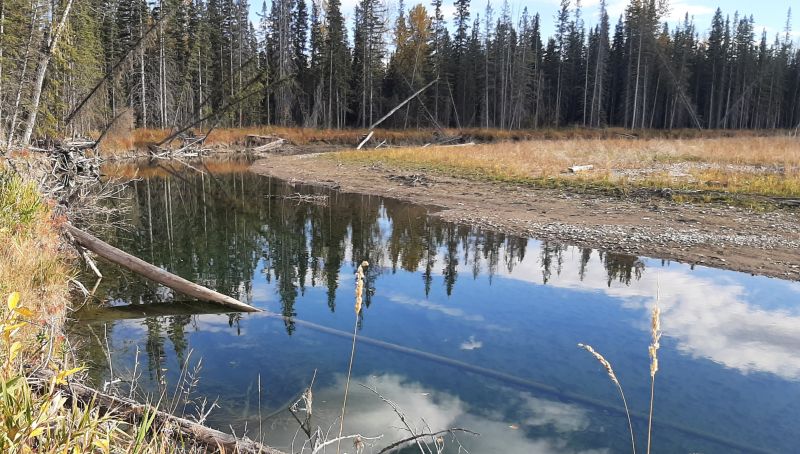 Side channel; looking SEast, SnakesHead PNT 2024-10-03,Tony B.