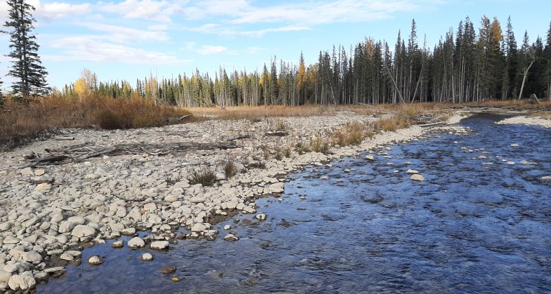Side channel; looking NEast, SnakesHead PNT 2024-10-03,Tony B.