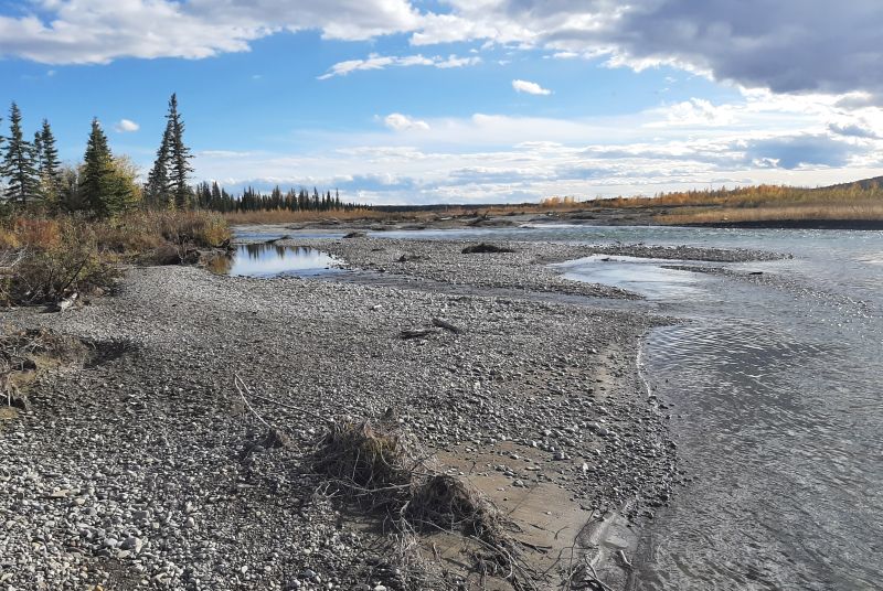 main channel and flood plain; looking South, SnakesHead PNT 2024-10-03,Tony B.