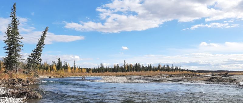 main channel looking SEast, SnakesHead PNT 2024-10-03,Tony B.