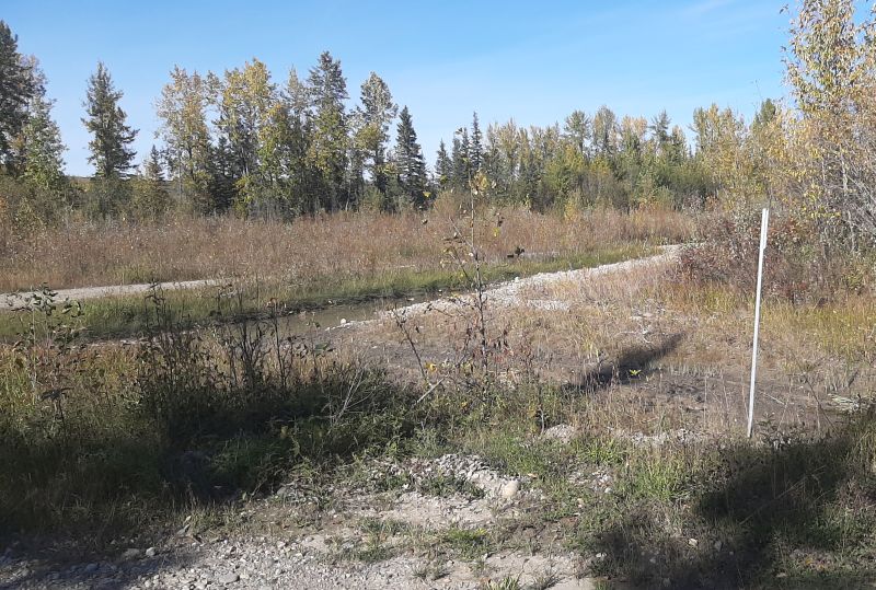 SnakesHeadPNT 2024-10-03 SEast corner looking North, Tony B.