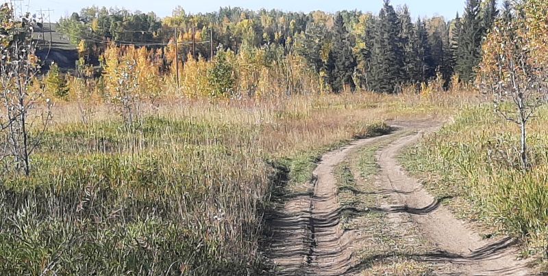 SnakesHead PNT 2024-10-03 4x4 trail along the utility corridor; looking NWest, Tony B.