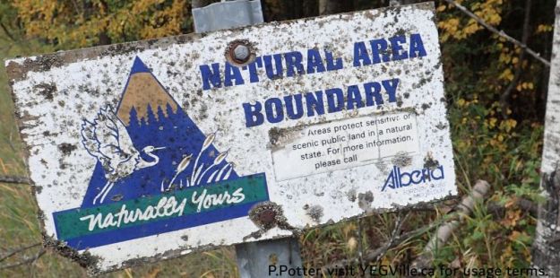 A sign that has seen better days, Battle Lake NA, 2024-09-25, P. Potter