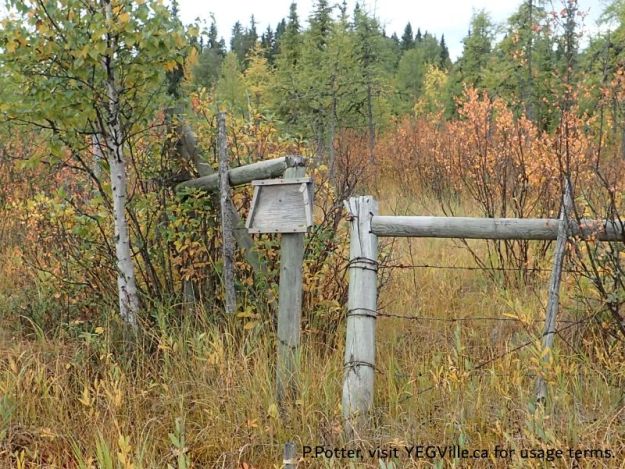 Looking SW into the adjoining property at the NW corner of the site, Battle Lake NA, 2024-09-25, P. Potter
