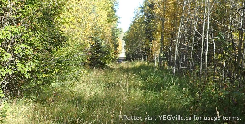 Looking North along RR 13, HWY 13 is in the distance, Lloyd Creek NA, 2024-09-30, P. Potter.