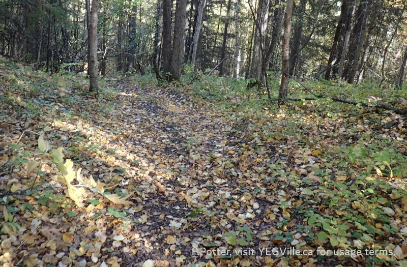 Looking N after the steep climb, Lloyd Creek NA, 2024-09-30, P. Potter.