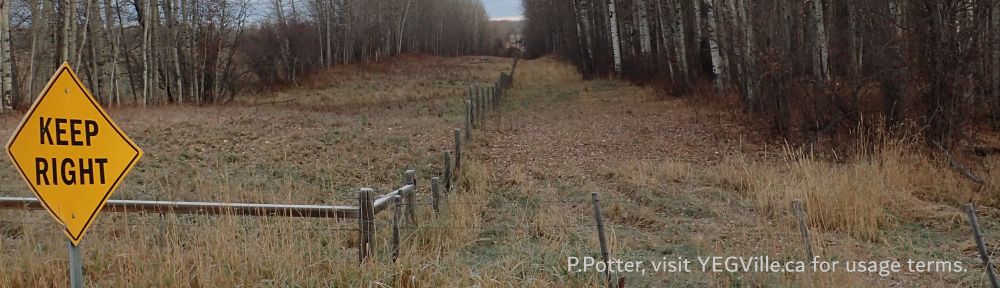 Looking North from TWP 494 along the Western border of the PNT, Tetris parcel-Coyote Lake Complex, 2024-10-29, P. Potter.