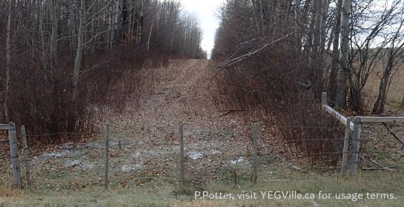 Looking South along the Western boundary of the site, Tetris parcel-Coyote Lake Complex, 2024-10-29, P. Potter.