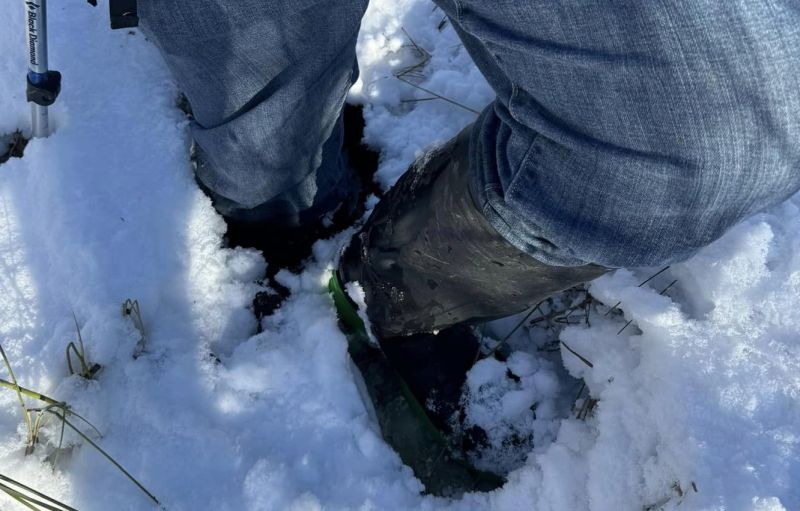 Some days are better than other, right leg breaking through the thin ice into the underlying water below, Coyote Lake - North OC, 2024-11-06, Danielle A.