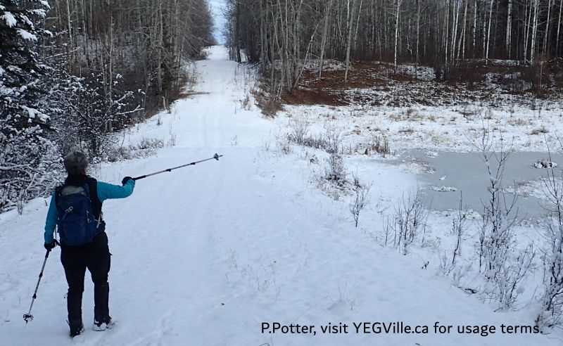 A hiker looking North and pointing at a wet area on the East side of RR 44, in the Central-PNT, 2024-11-06, P. Potter.