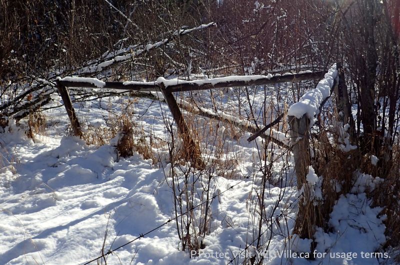 The SW corner of the OC where it nests into the PNT, Coyote Lk Central-PNT, 2024-11-06, P. Potter.