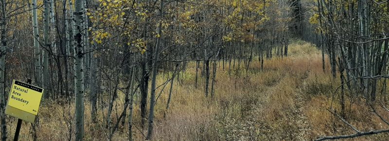 West boundary; looking SSEast, Snakes Head PNT, 2024-10-14, T. Blake.