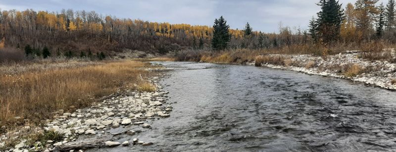 River side channel, note the steep escarpment on the left; looking North, Snakes Head PNT, 2024-10-14, T. Blake.