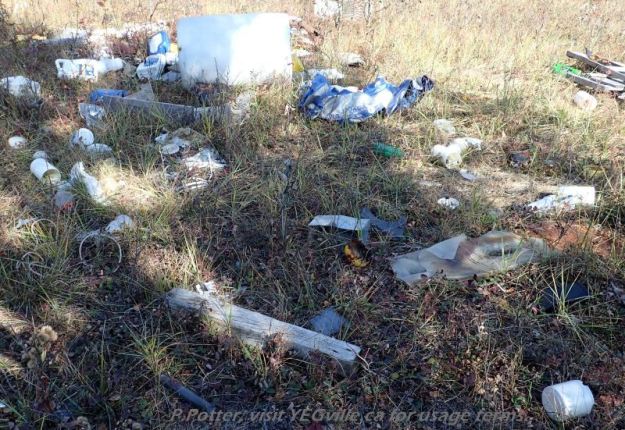 Dumping on the north east corner of Bridge Lake NA, P. Potter, October 1, 2023.