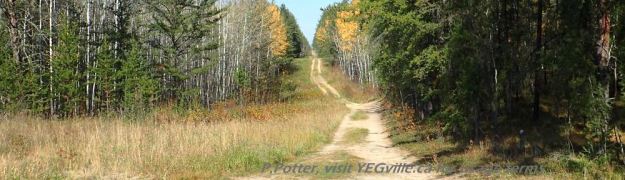 ATV track heading north from the oil field installation, Bridge Lake NA, P. Potter, October 1, 2023.