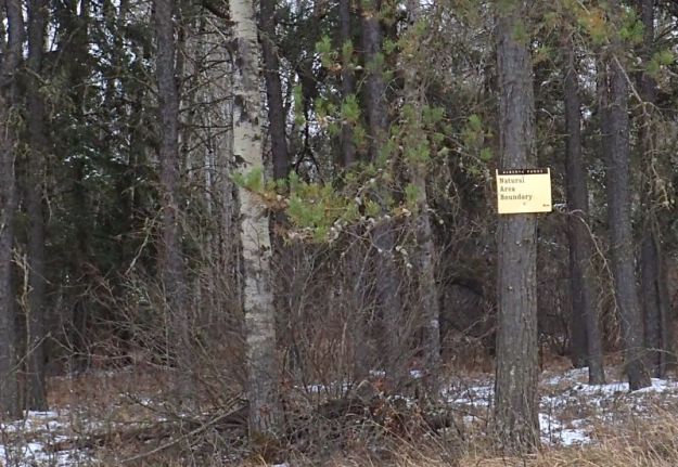 A single boundary sign on TWP 592B, looking South into the site, Halfway Lake NA (South Parcel), 2024-04-06, P. Potter.