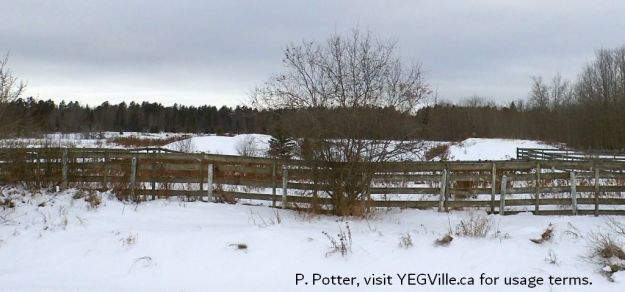 Corral in the NE corner of the site, Anton Lk PNT-North, 2024-12-29, P. Potter.