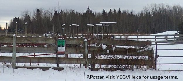 Cattle pen in the NE corner of the site, junction of RR 234 and TWP 604, Anton Lk PNT-North, 2024-12-29, P. Potter.