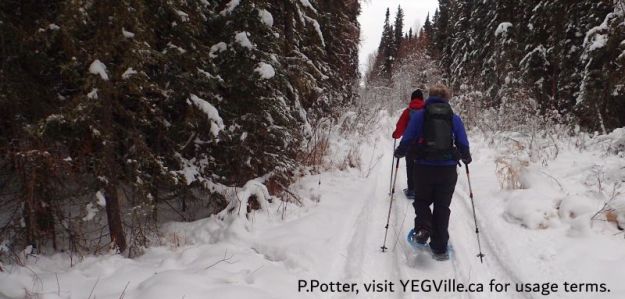 Following a snowmobile track North along the West boundary, Halfway Lake NA - South, 2024-12-29, P. Potter.