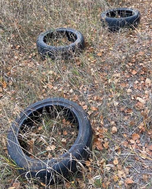 Dumped tires, Nestow NA, 2024-10-07, Susan N.