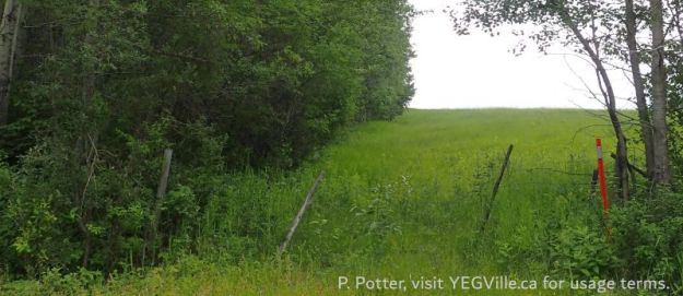 Looking South along the West border of the site from TWP 573, Pembina River (South), 2025-07-04, P. Potter.